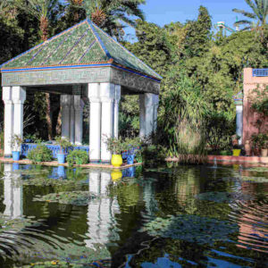 laeti-event-sejour-feminin-marrakech-automne-maroc-jardin-de-majorelle-4