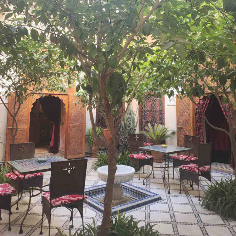laeti-event-sejour-feminin-marrakech-automne-maroc-terrasse-riad