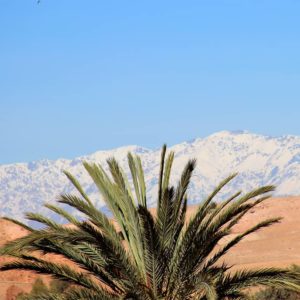 laeti-event-sejour-au-maroc-immertion-desert-sur-la-route-de-ait-ben-haddou