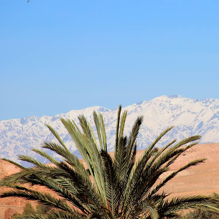 laeti-event-sejour-au-maroc-immertion-desert-sur-la-route-de-ait-ben-haddou